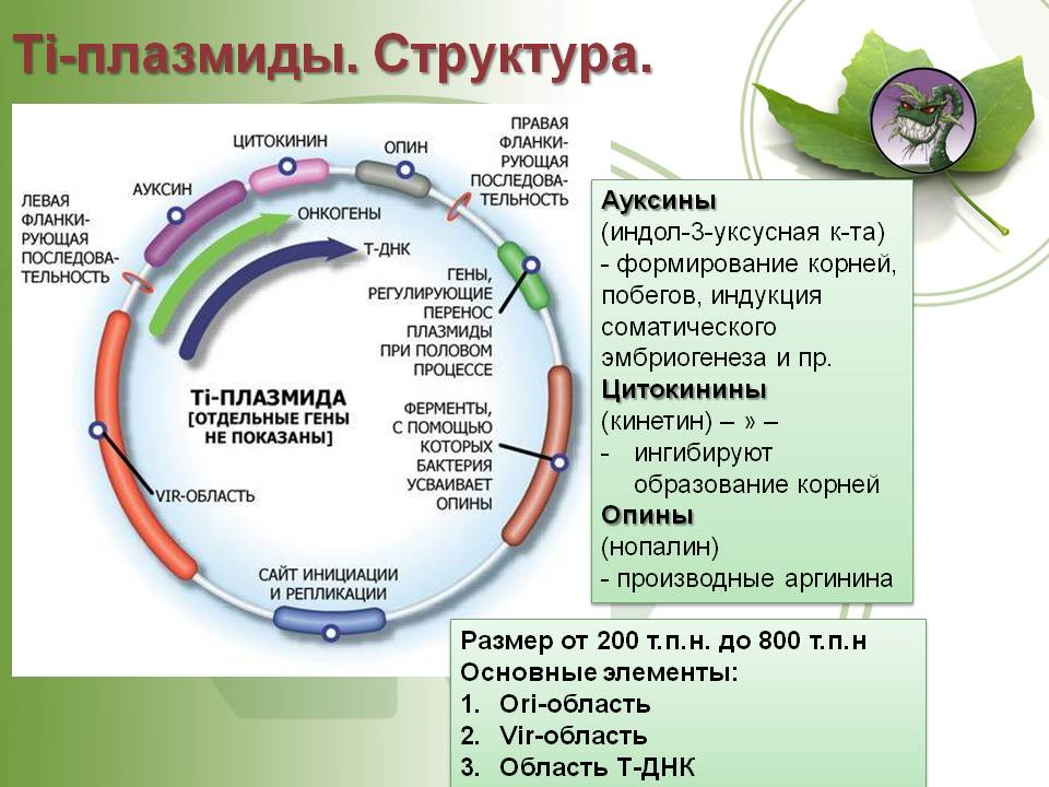 Ссылка на кракен kr2link co