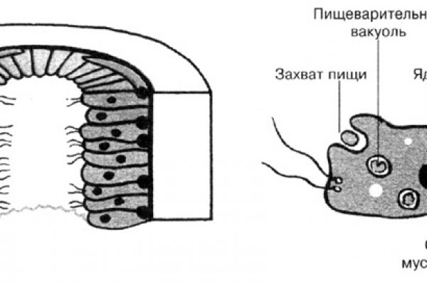 Кракен что это такое маркетплейс